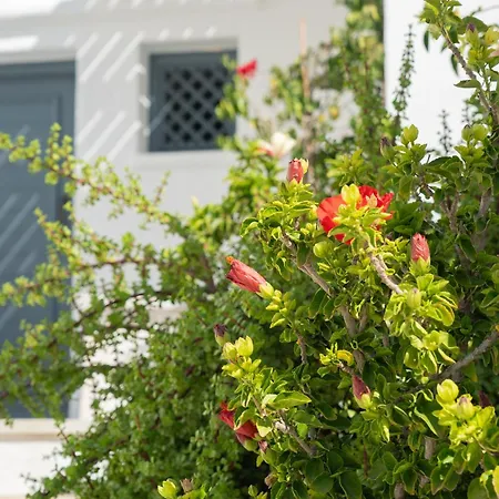 Hotel 5 Traditional *